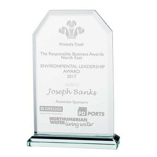 Executive Jade Glass Award 145mm CR0143C