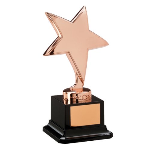 The Challenger Star Bronze Award 165mm NP1782B