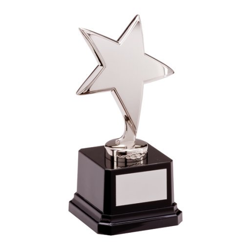 The Challenger Star Silver Award 165mm NP1783B