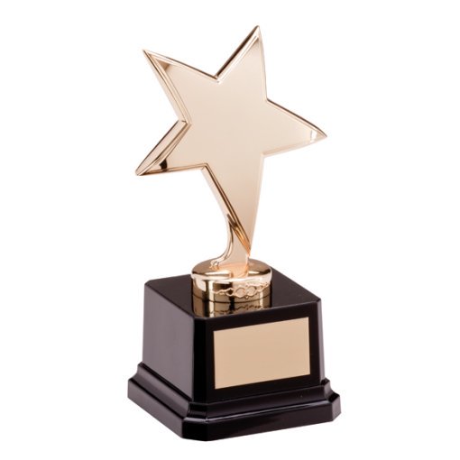 The Challenger Star Gold Award 165mm NP1784B