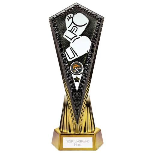 Inferno Boxing Award Carbon Black & Fusion Gold 270mm PA24027A