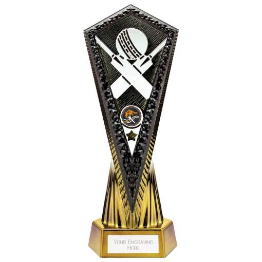 Inferno Cricket Award Carbon Black & Fusion Gold 270mm PA24029A