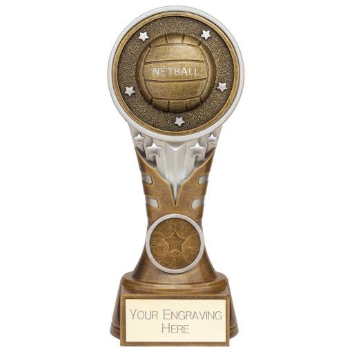 Ikon Tower Netball Award Antique Silver & Gold 175mm PA24226C