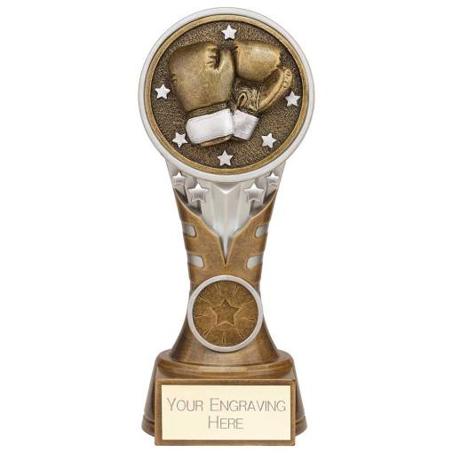 Ikon Tower Boxing Award Antique Silver & Gold 175mm PA24227C