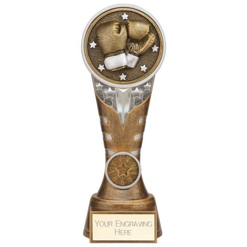Ikon Tower Boxing Award Antique Silver & Gold 200mm PA24227D