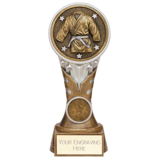 Ikon Tower Martial Arts Award Antique Silver & Gold 175mm PA24232C