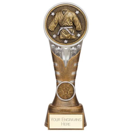 Ikon Tower Martial Arts Award Antique Silver & Gold 200mm PA24232D
