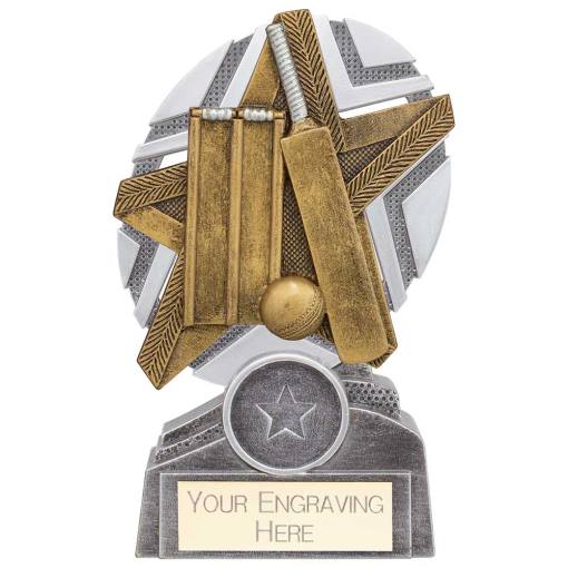 The Stars Cricket Plaque Award Silver & Gold 130mm PA24237A