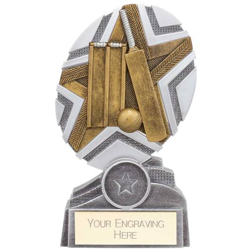 The Stars Cricket Plaque Award Silver & Gold 150mm PA24237B