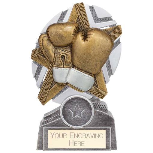 The Stars Boxing Plaque Award Silver & Gold 130mm PA24242A