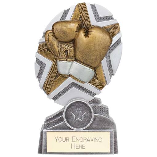 The Stars Boxing Plaque Award Silver & Gold 150mm PA24242B