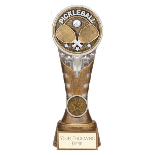 Ikon Tower Pickleball Award Antique Silver & Gold 200mm PA25226D