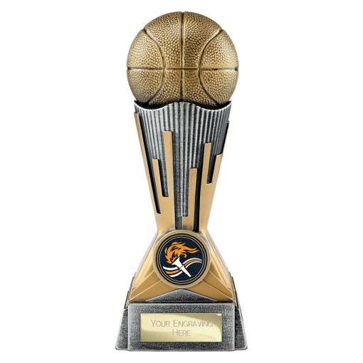 Digital Basketball Award Antique Silver & Gold 175mm PA26037C