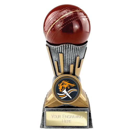 Digital Cricket Award Antique Silver & Gold 125mm PA26038A