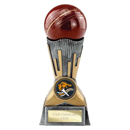 Digital Cricket Award Antique Silver & Gold 150mm PA26038B