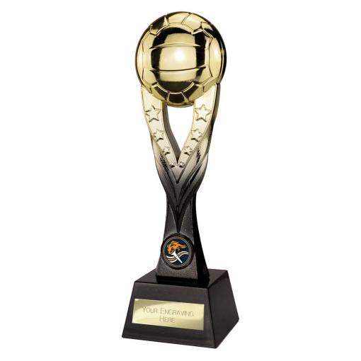 Extreme Netball Gold & Carbon Black 260mm PA26060A