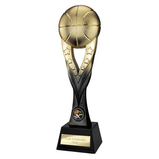 Extreme Basketball Gold & Carbon Black 290mm PA26061B