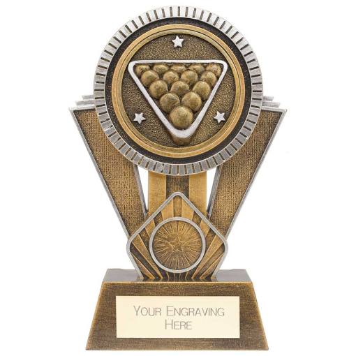 Apex Ikon Pool Award Gold & Silver 180mm PM24161C