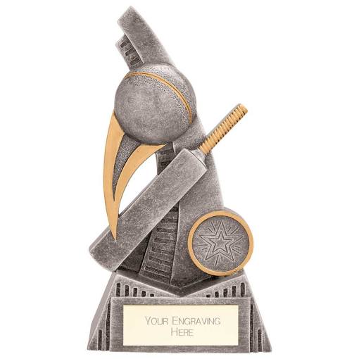 Nemesis Cricket Award 160mm RF24073C