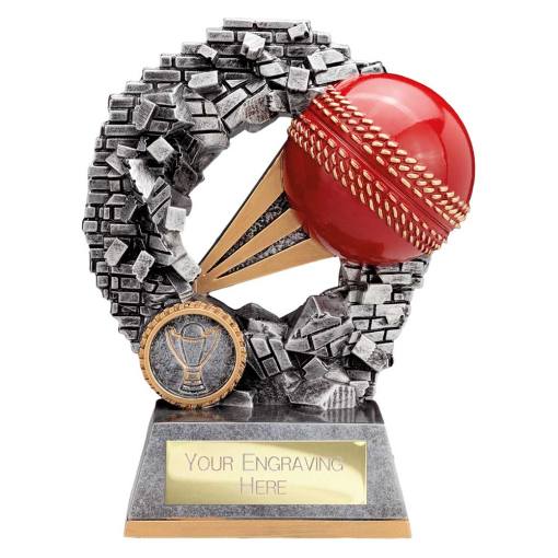 Blast Out Cricket Award Antique Silver 155mm RF25090C