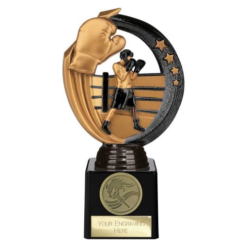 Renegade Legend Boxing Award Black 175mm TH22436C