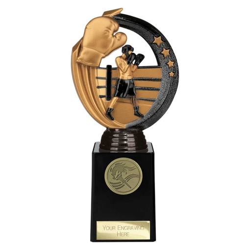 Renegade Legend Boxing Award Black 200mm TH22436D