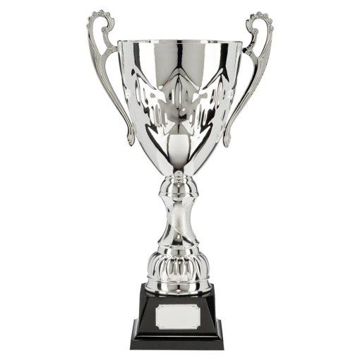 Legacy Super Cup Silver 280mm TR17064A