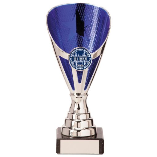 Rising Stars Premium Plastic Trophy Silver & Blue 170mm TR20538A