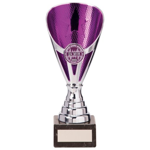Rising Stars Premium Plastic Trophy Silver & Purple 185mm TR20539B