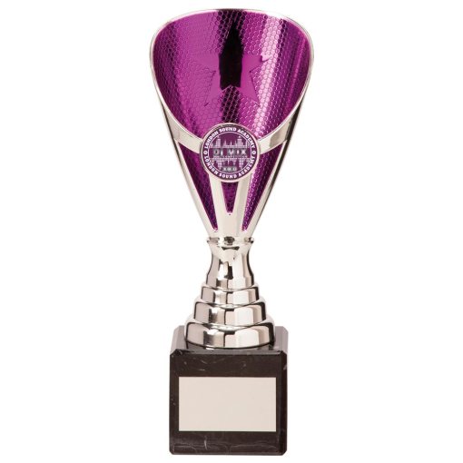 Rising Stars Premium Plastic Trophy Silver & Purple 200mm TR20539C