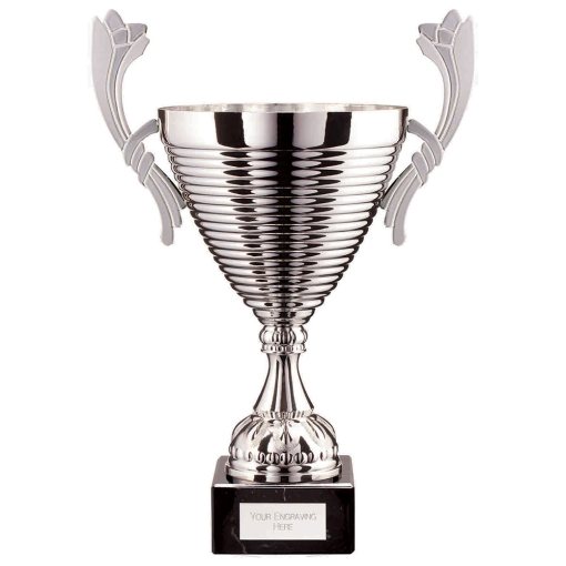 Cascade Cup Silver 380mm TR22522E