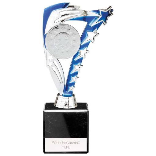Frenzy Multisport Trophy Silver & Blue 215mm TR24511C