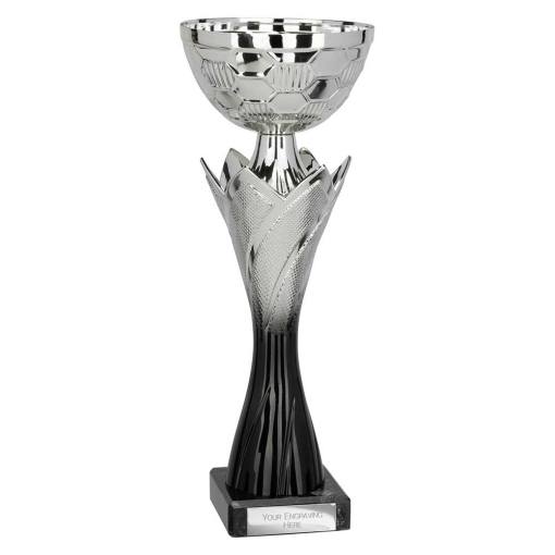 Blade Trophy Silver & Black 260mm TR25567B