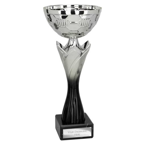 Blade Trophy Silver & Black 325mm TR25567E