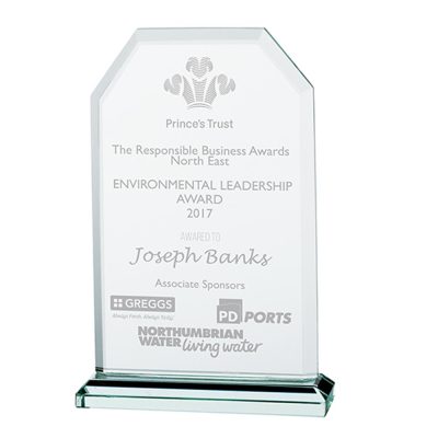 Executive Jade Glass Award 145mm CR0143C