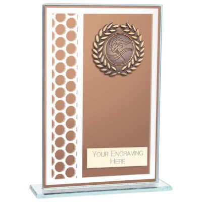 Titanium Multisport Glass Award Bronze 160mm CR23575A