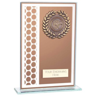 Titanium Multisport Glass Award Bronze 180mm CR23575B