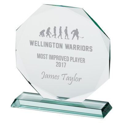 Jade Recognition Glass Award 215mm CR7106C