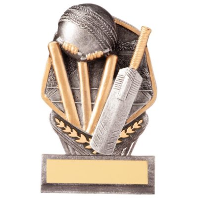 Falcon Cricket Award 105mm PA20030A