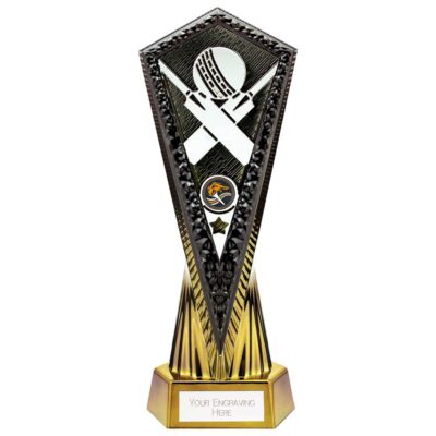 Inferno Cricket Award Carbon Black & Fusion Gold 270mm PA24029A