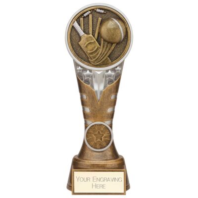 Ikon Tower Cricket Award Antique Silver & Gold 200mm PA24159D