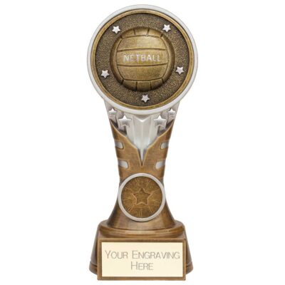 Ikon Tower Netball Award Antique Silver & Gold 175mm PA24226C