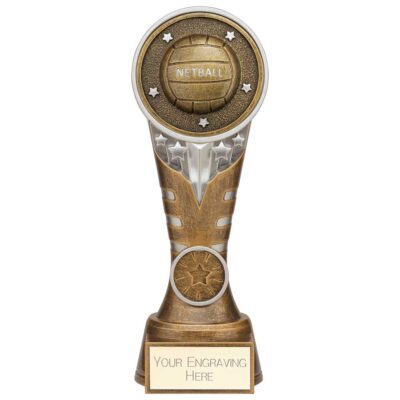 Ikon Tower Netball Award Antique Silver & Gold 200mm PA24226D