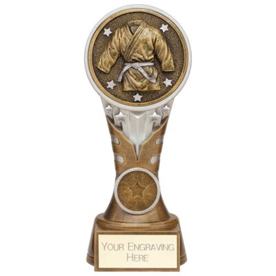 Ikon Tower Martial Arts Award Antique Silver & Gold 175mm PA24232C