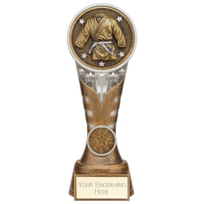 Ikon Tower Martial Arts Award Antique Silver & Gold 200mm PA24232D