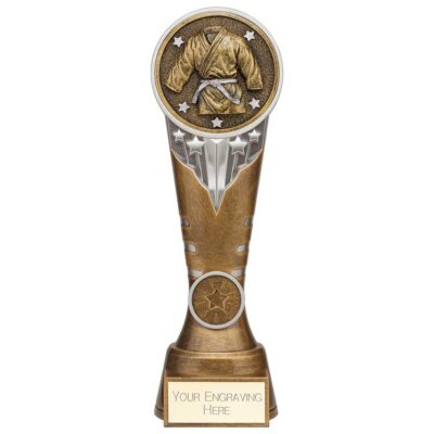 Ikon Tower Martial Arts Award Antique Silver & Gold 225mm PA24232E