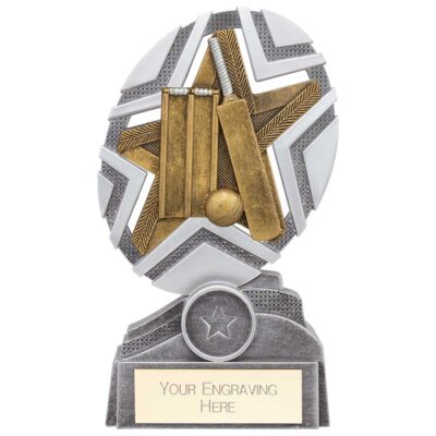 The Stars Cricket Plaque Award Silver & Gold 170mm PA24237C