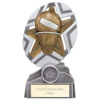 The Stars Netball Plaque Award Silver & Gold 170mm PA24239C