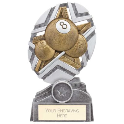 The Stars Pool Plaque Award Silver & Gold 170mm PA24244C