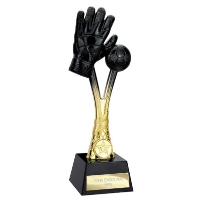 Raider Goalkeeper Award Carbon Black & Gold 260mm PA25473A